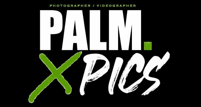 Palmpics